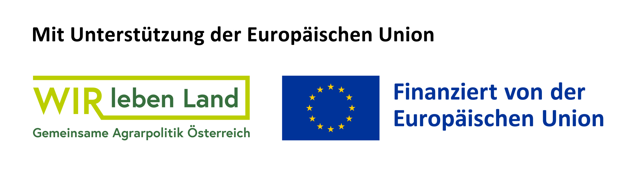 EU Logo